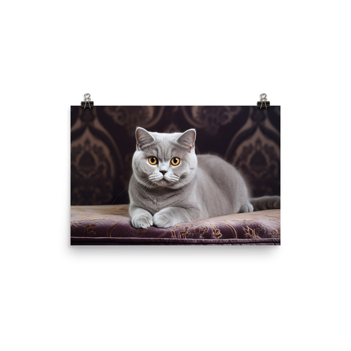 British Shorthair Photo paper poster - PosterfyAI.com