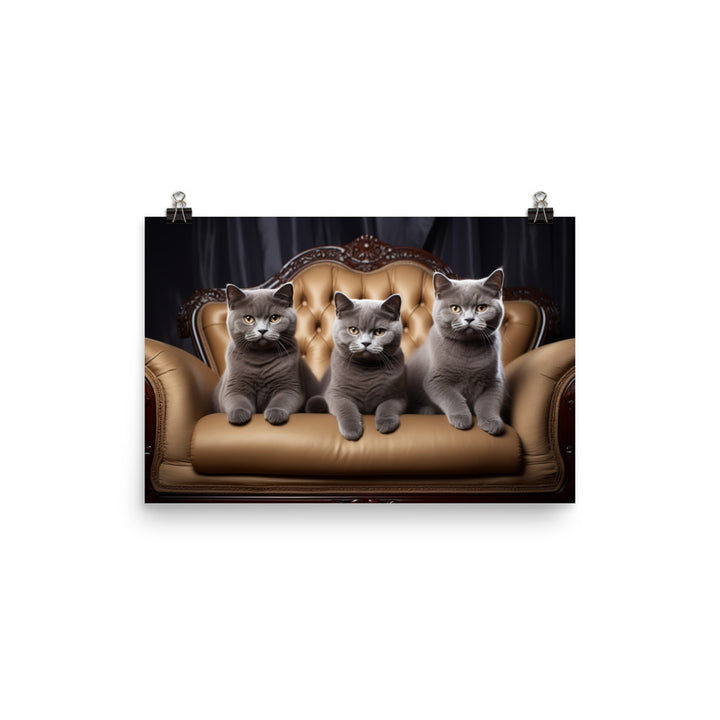 British Shorthair Photo paper poster - PosterfyAI.com