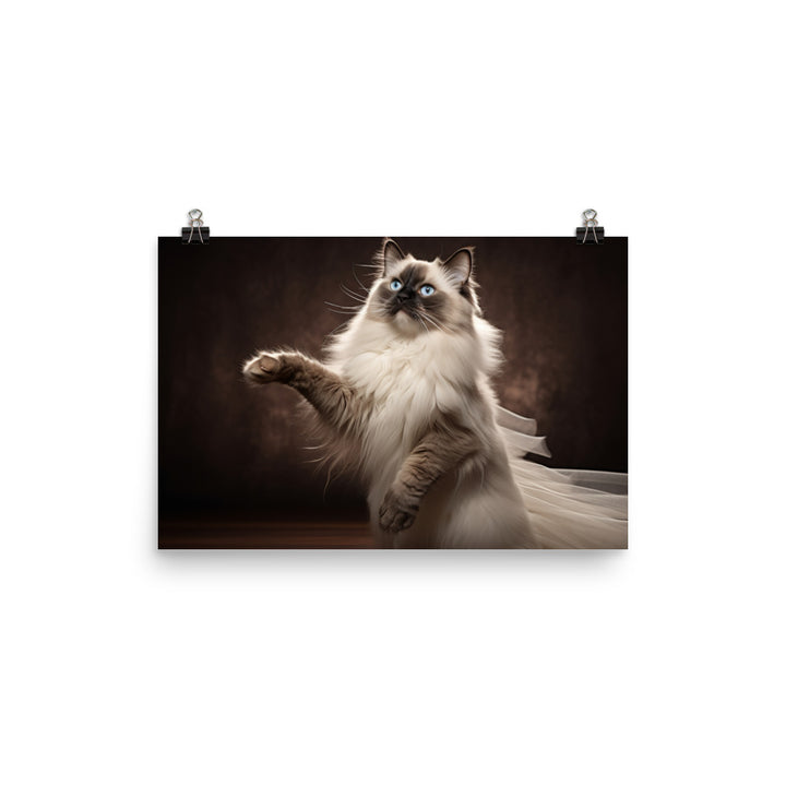 Birman Photo paper poster - PosterfyAI.com