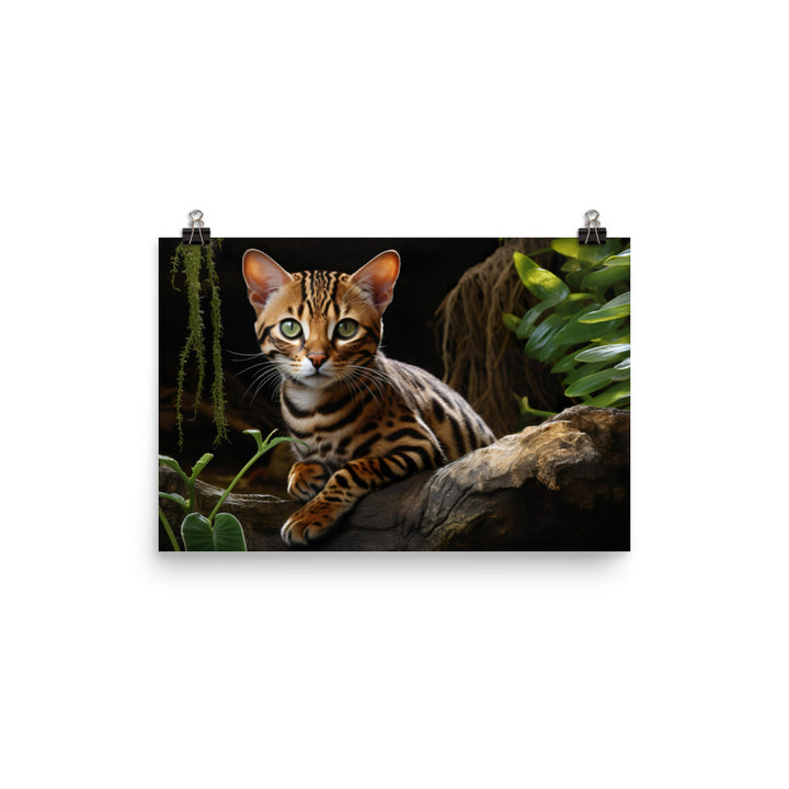Bengal Photo paper poster - PosterfyAI.com