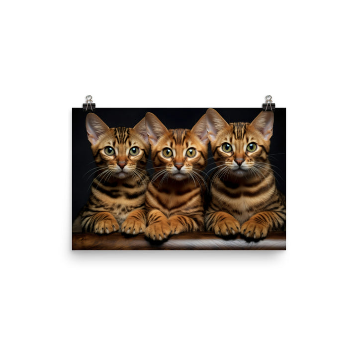 Bengal Photo paper poster - PosterfyAI.com