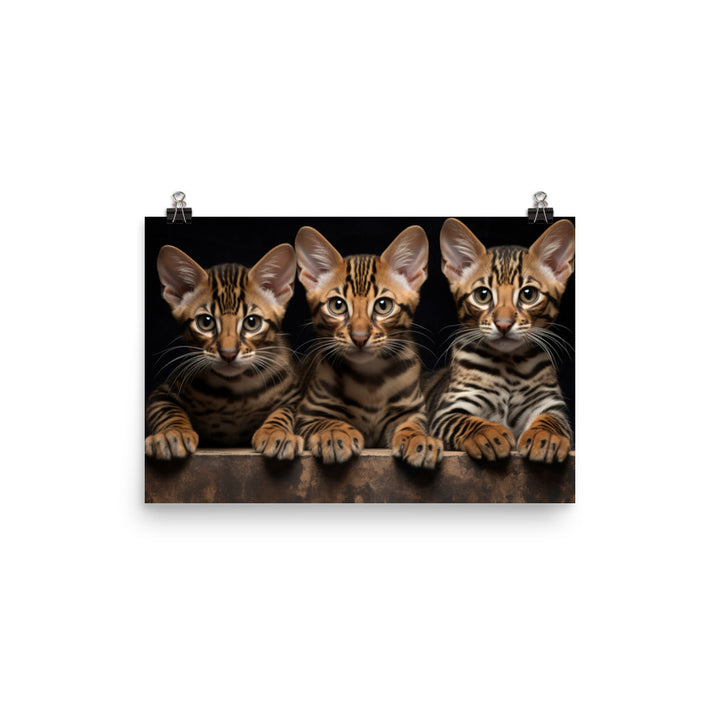 Bengal Photo paper poster - PosterfyAI.com