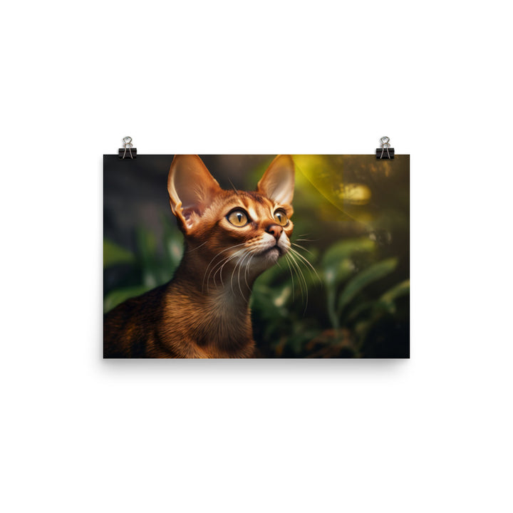Abyssinian Photo paper poster - PosterfyAI.com