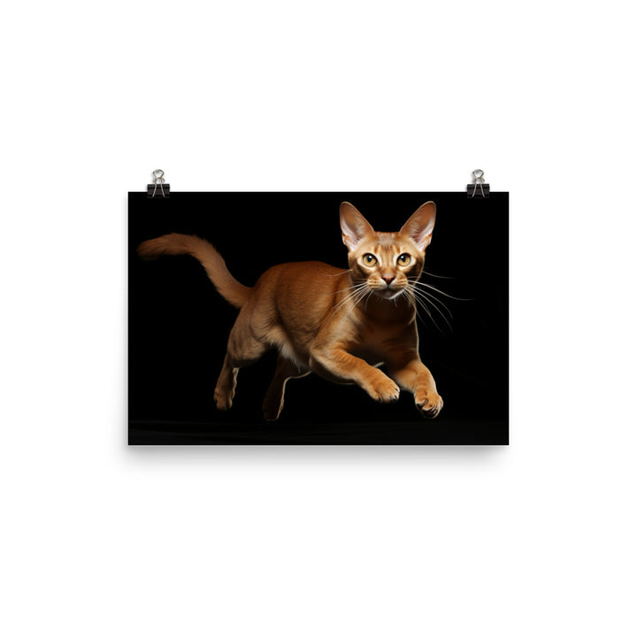 Abyssinian Photo paper poster - PosterfyAI.com
