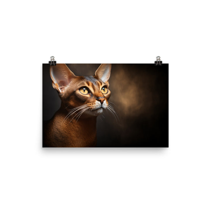 Abyssinian Photo paper poster - PosterfyAI.com
