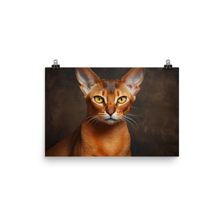 Abyssinian Photo paper poster - PosterfyAI.com