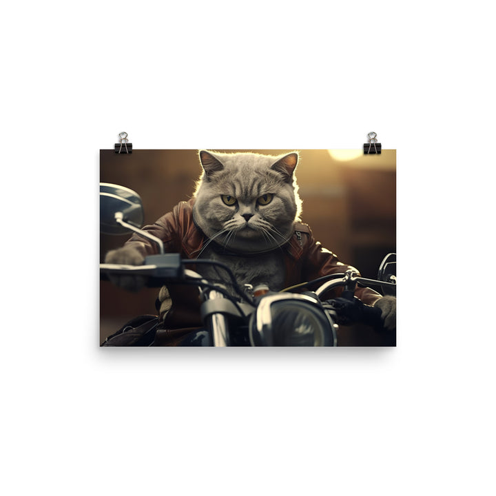 British Shorthair Superbike Athlete Photo paper poster - PosterfyAI.com