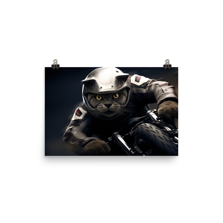 British Shorthair Superbike Athlete Photo paper poster - PosterfyAI.com