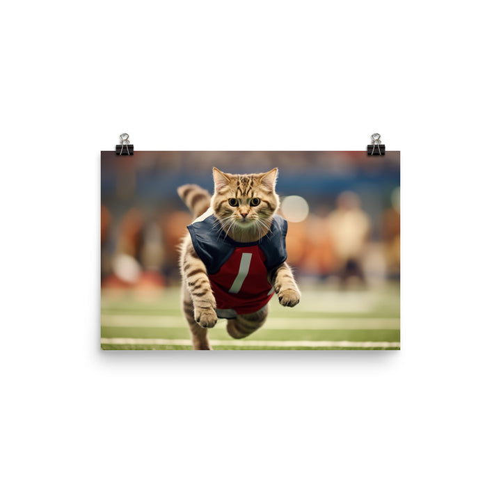 Scottish Fold Football Player Photo paper poster - PosterfyAI.com