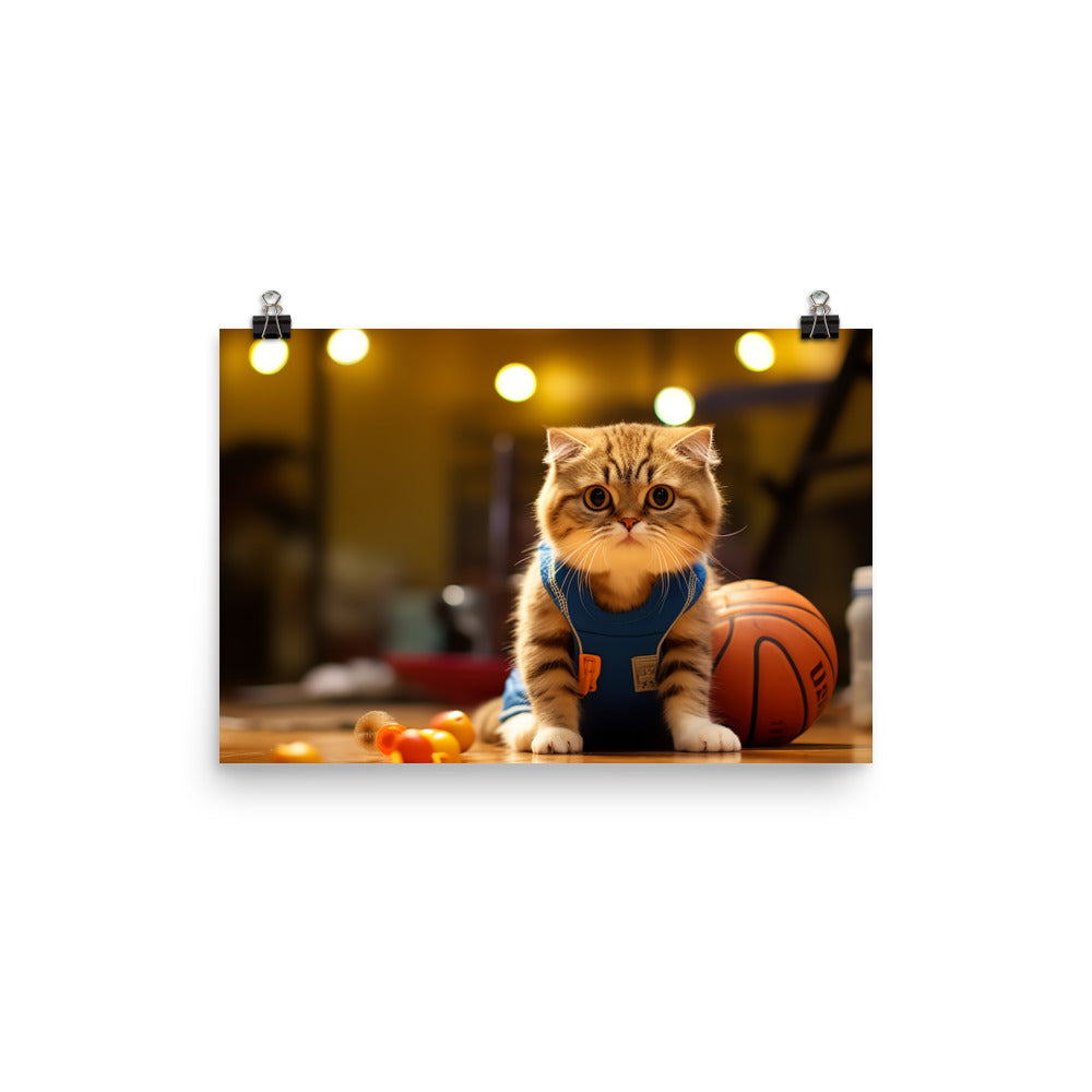 Scottish Fold Basketball Player Photo paper poster - PosterfyAI.com