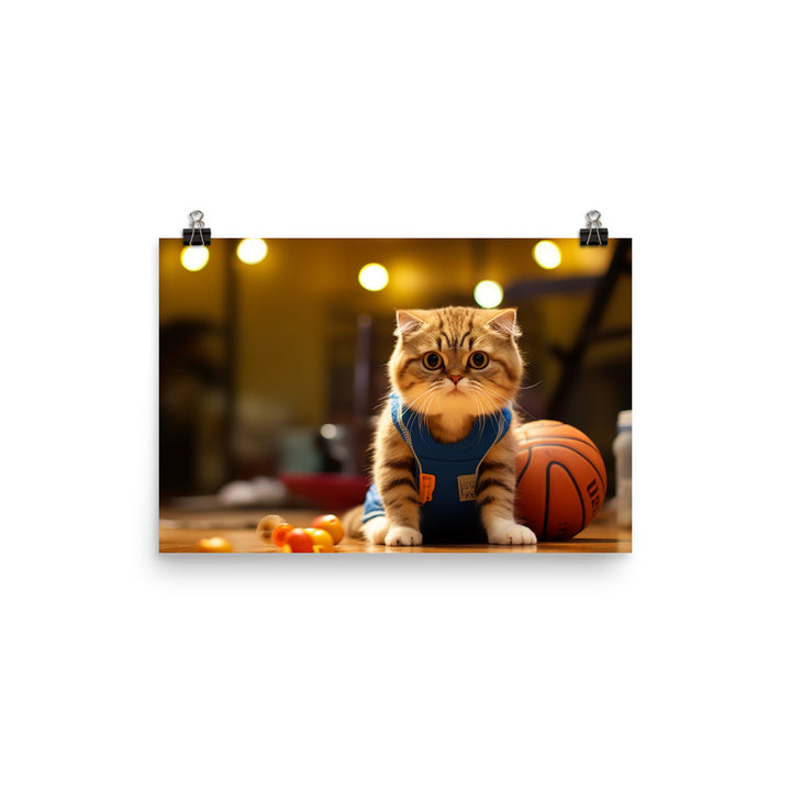 Scottish Fold Basketball Player Photo paper poster - PosterfyAI.com