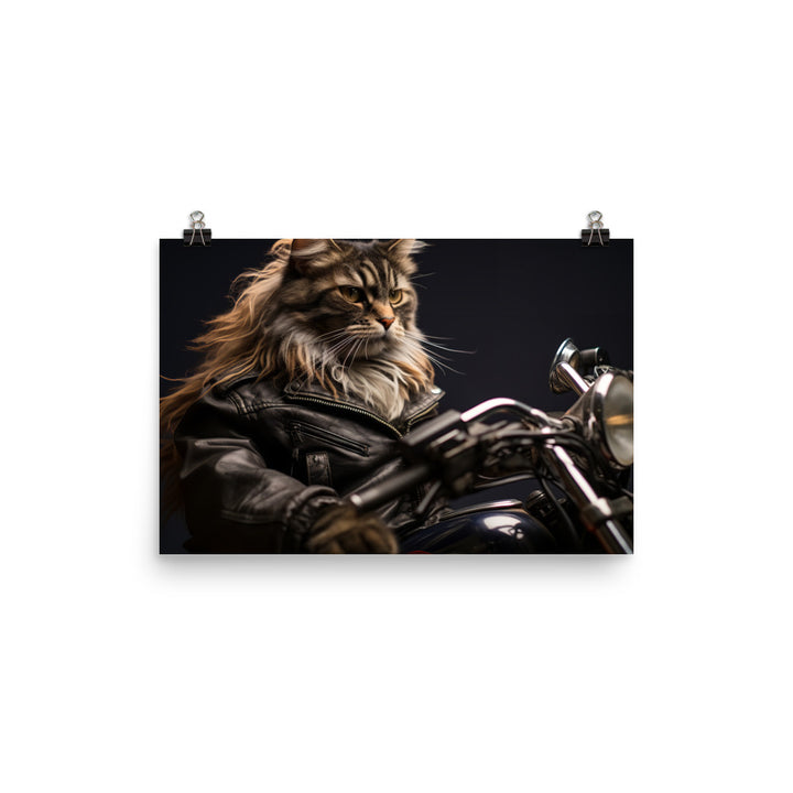 Maine Coon Superbike Athlete Photo paper poster - PosterfyAI.com
