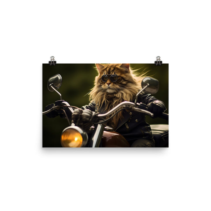 Maine Coon Superbike Athlete Photo paper poster - PosterfyAI.com