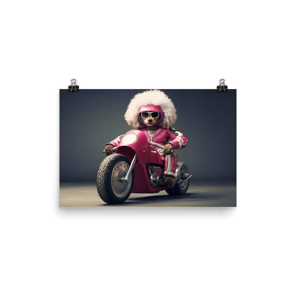 Poodle Superbike Athlete Photo paper poster - PosterfyAI.com