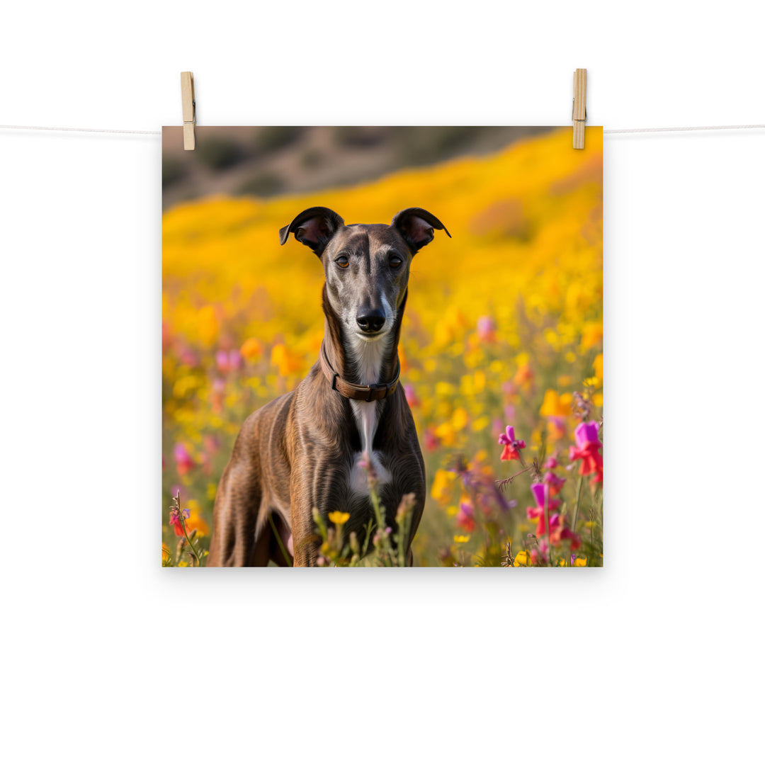 Greyhound Photo paper poster - PosterfyAI.com