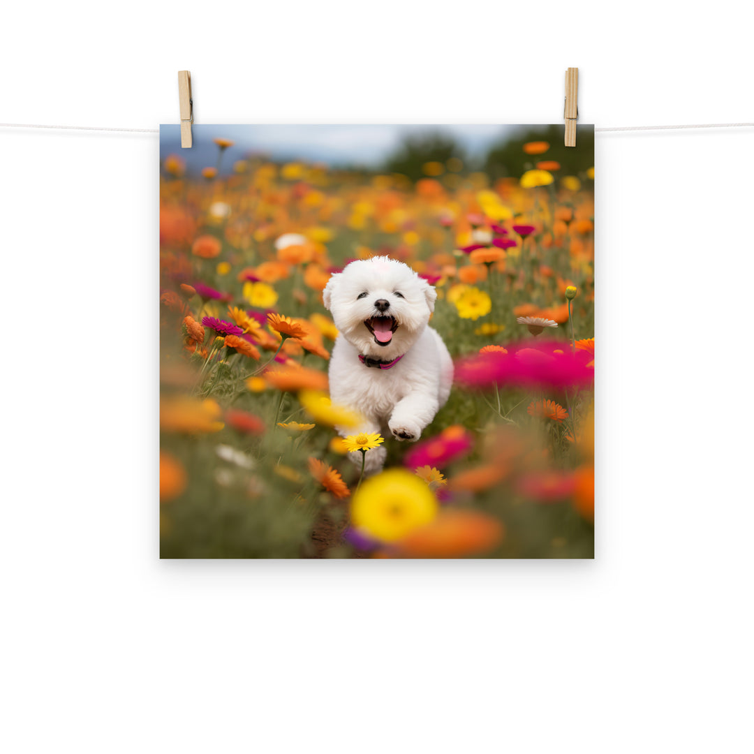 Bichon Frise Photo paper poster - PosterfyAI.com