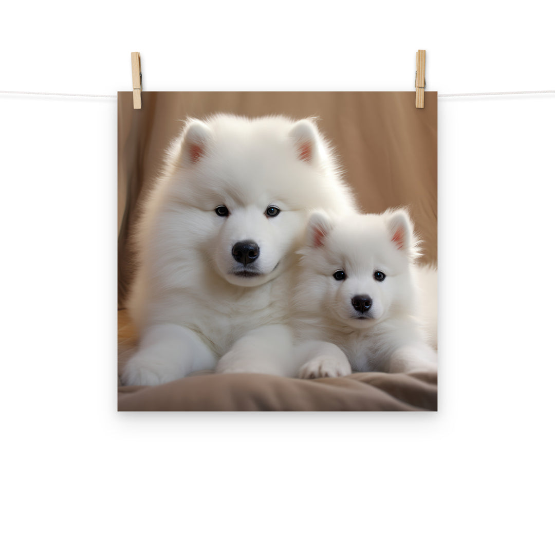 Samoyed Photo paper poster - PosterfyAI.com