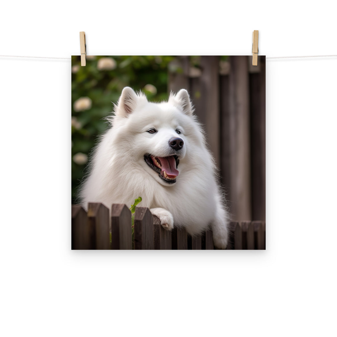 Samoyed Photo paper poster - PosterfyAI.com