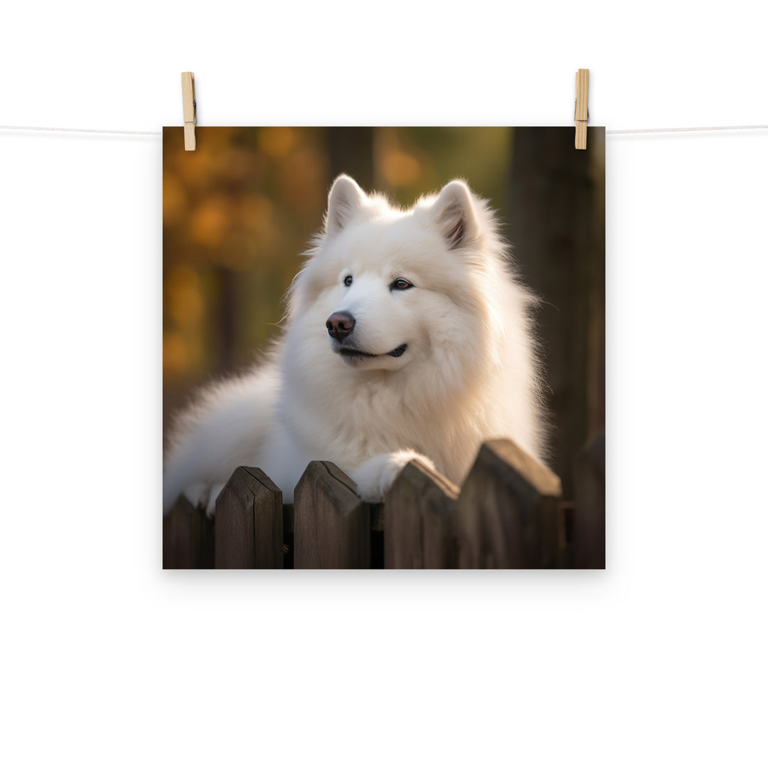 Samoyed Photo paper poster - PosterfyAI.com