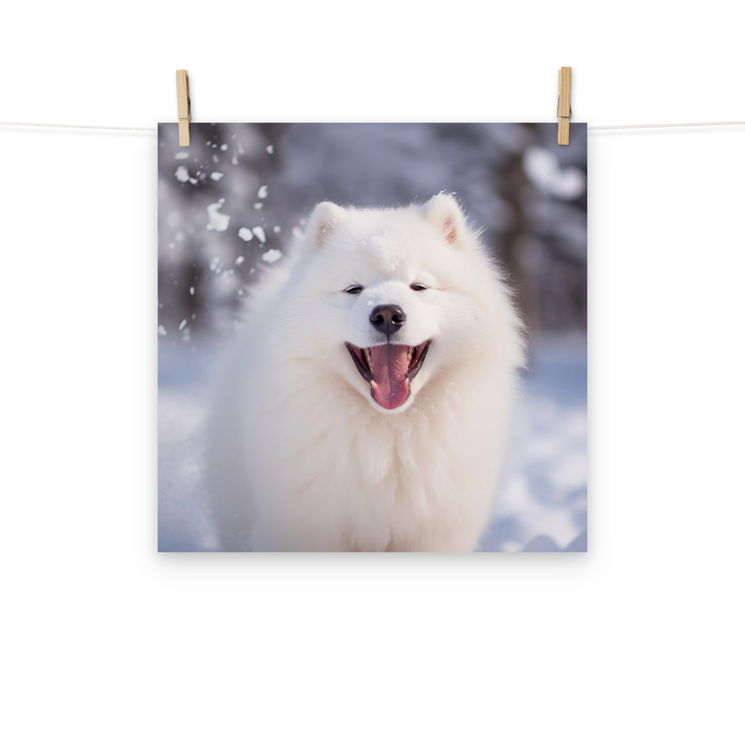Samoyed Photo paper poster - PosterfyAI.com