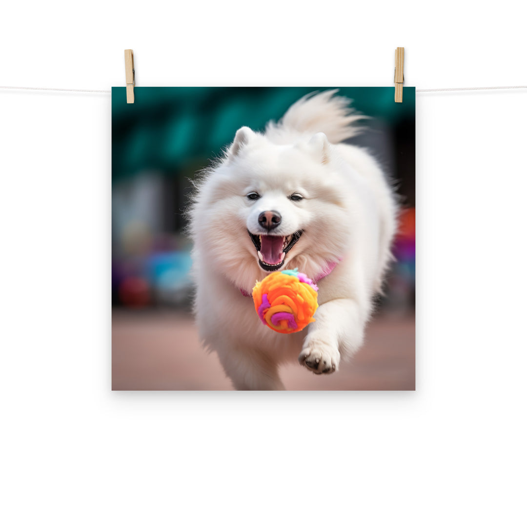 Samoyed Photo paper poster - PosterfyAI.com