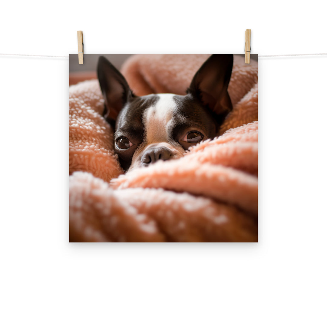 Boston Terrier Photo paper poster - PosterfyAI.com