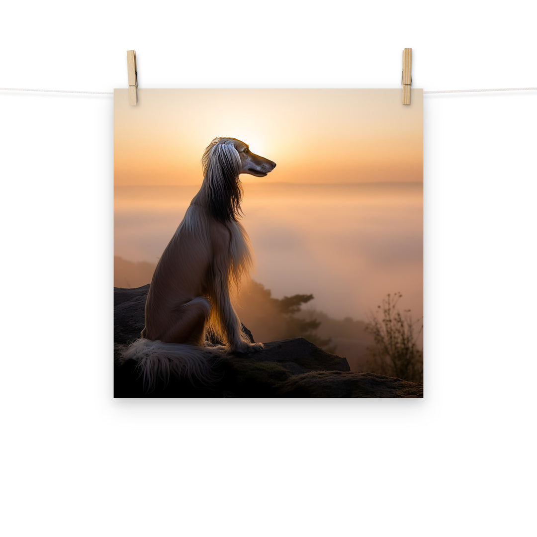 Afghan Hound Photo paper poster - PosterfyAI.com