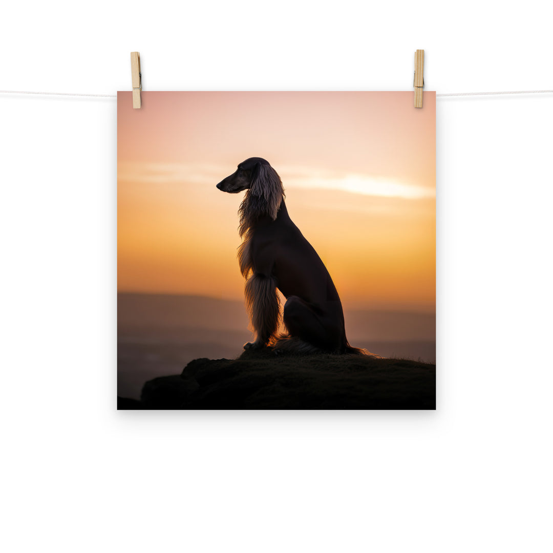 Afghan Hound Photo paper poster - PosterfyAI.com