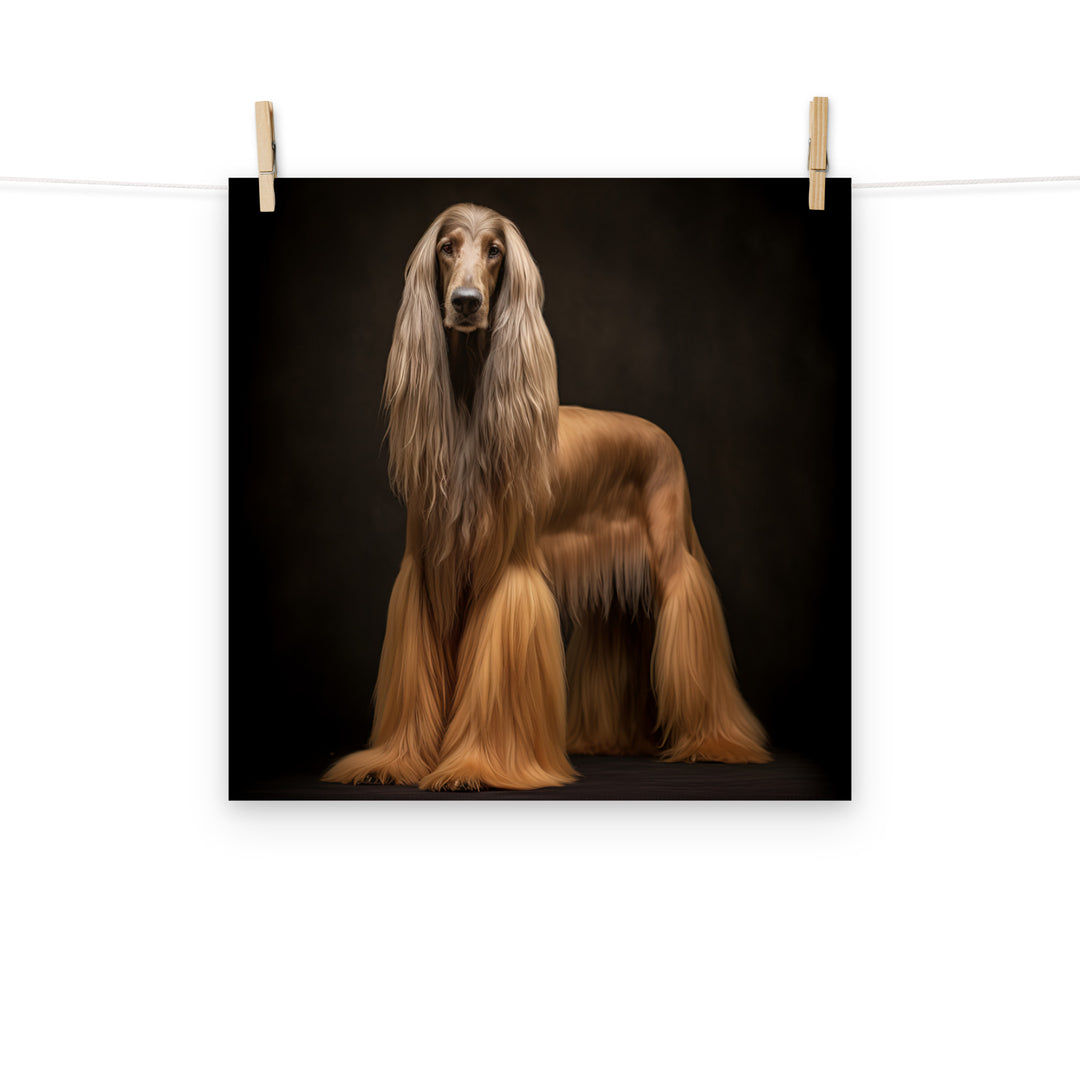 Afghan Hound Photo paper poster - PosterfyAI.com