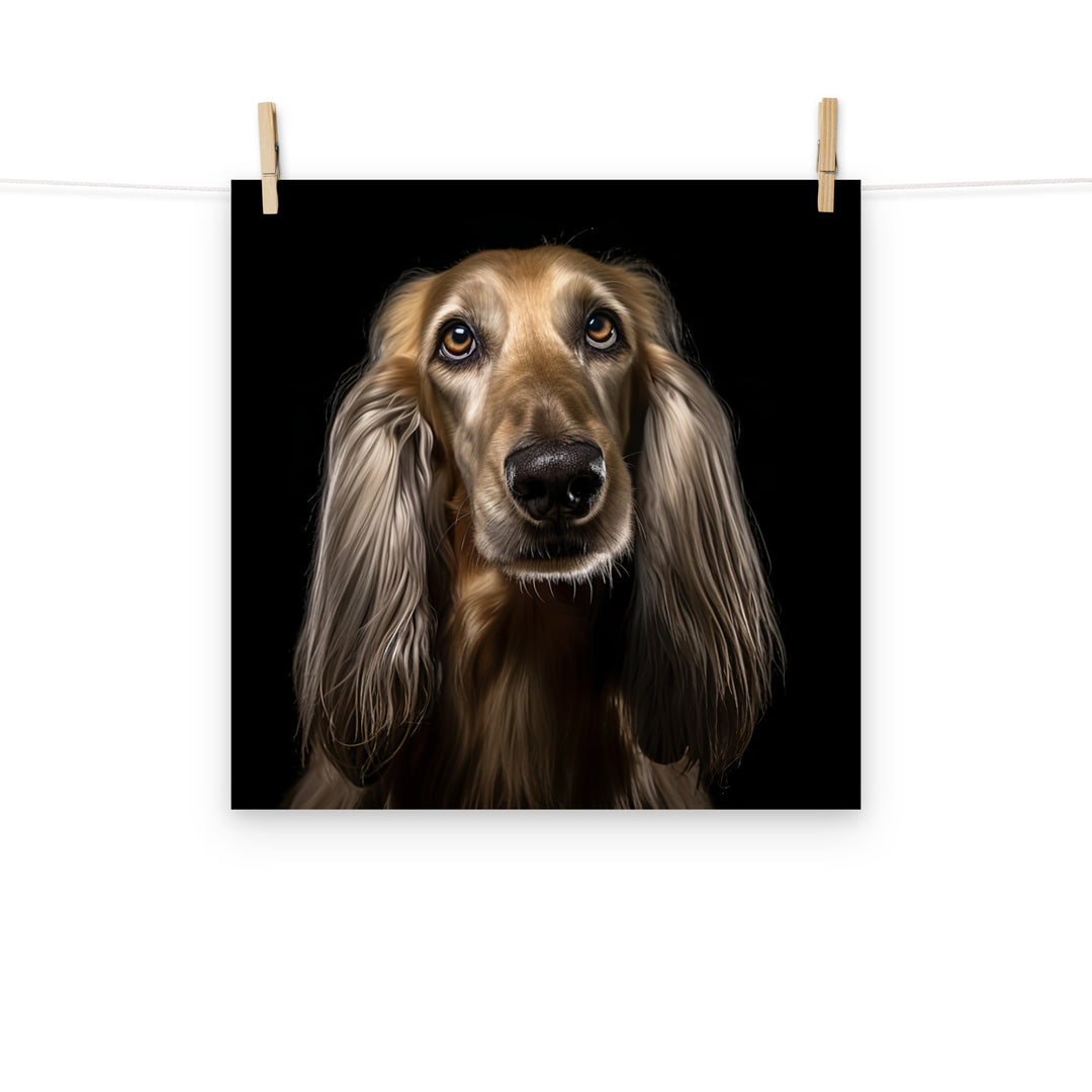 Afghan Hound Photo paper poster - PosterfyAI.com