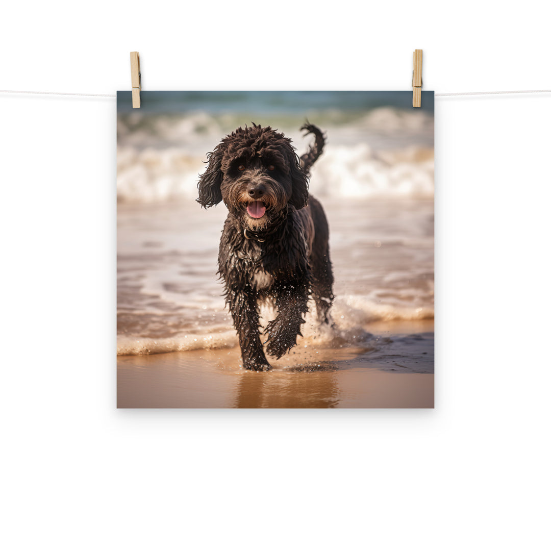 Portuguese Water Dog Photo paper poster - PosterfyAI.com