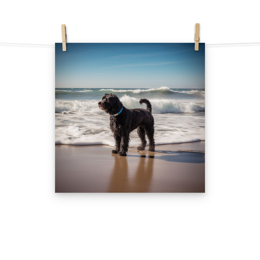 Portuguese Water Dog Photo paper poster - PosterfyAI.com