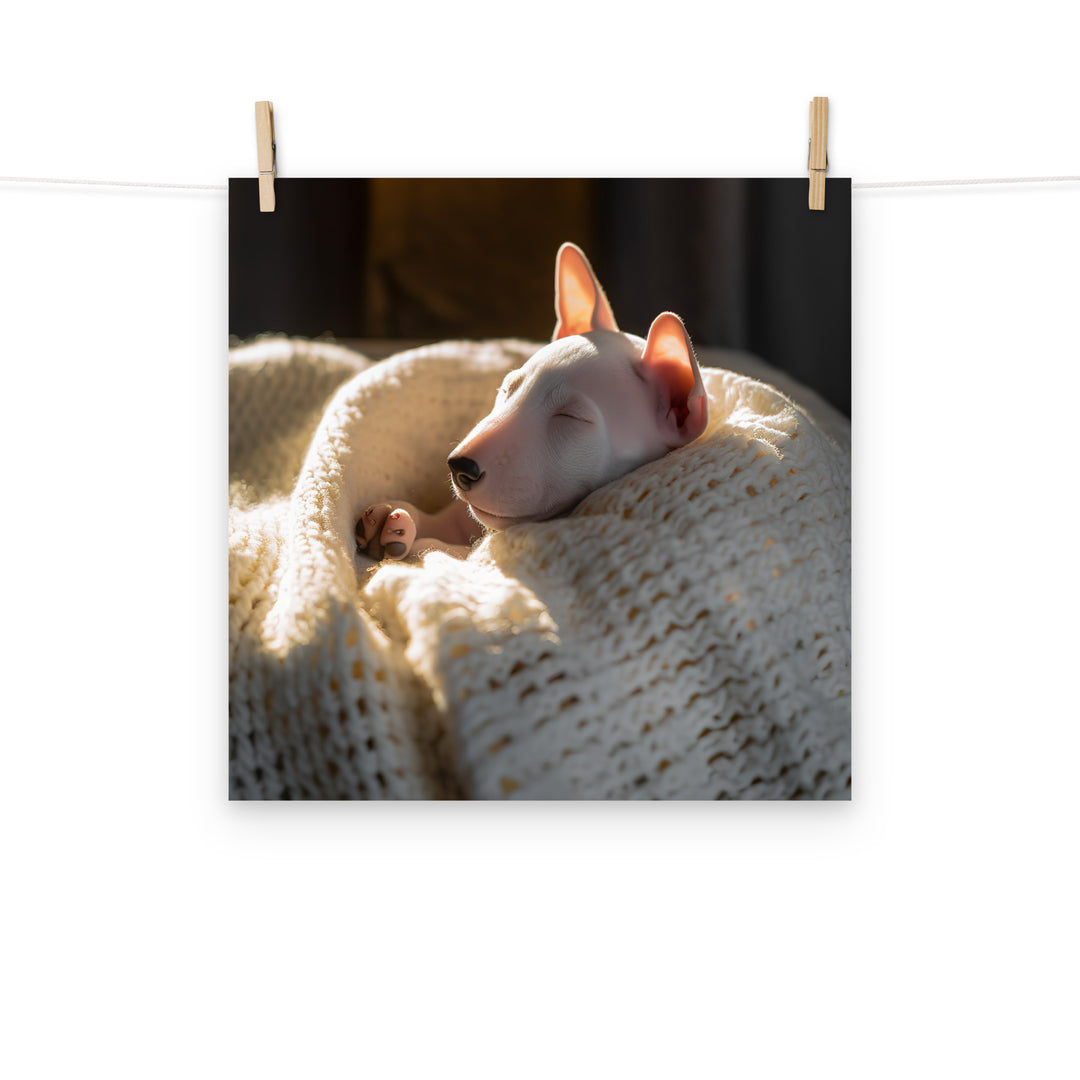 Bull Terrier Photo paper poster - PosterfyAI.com