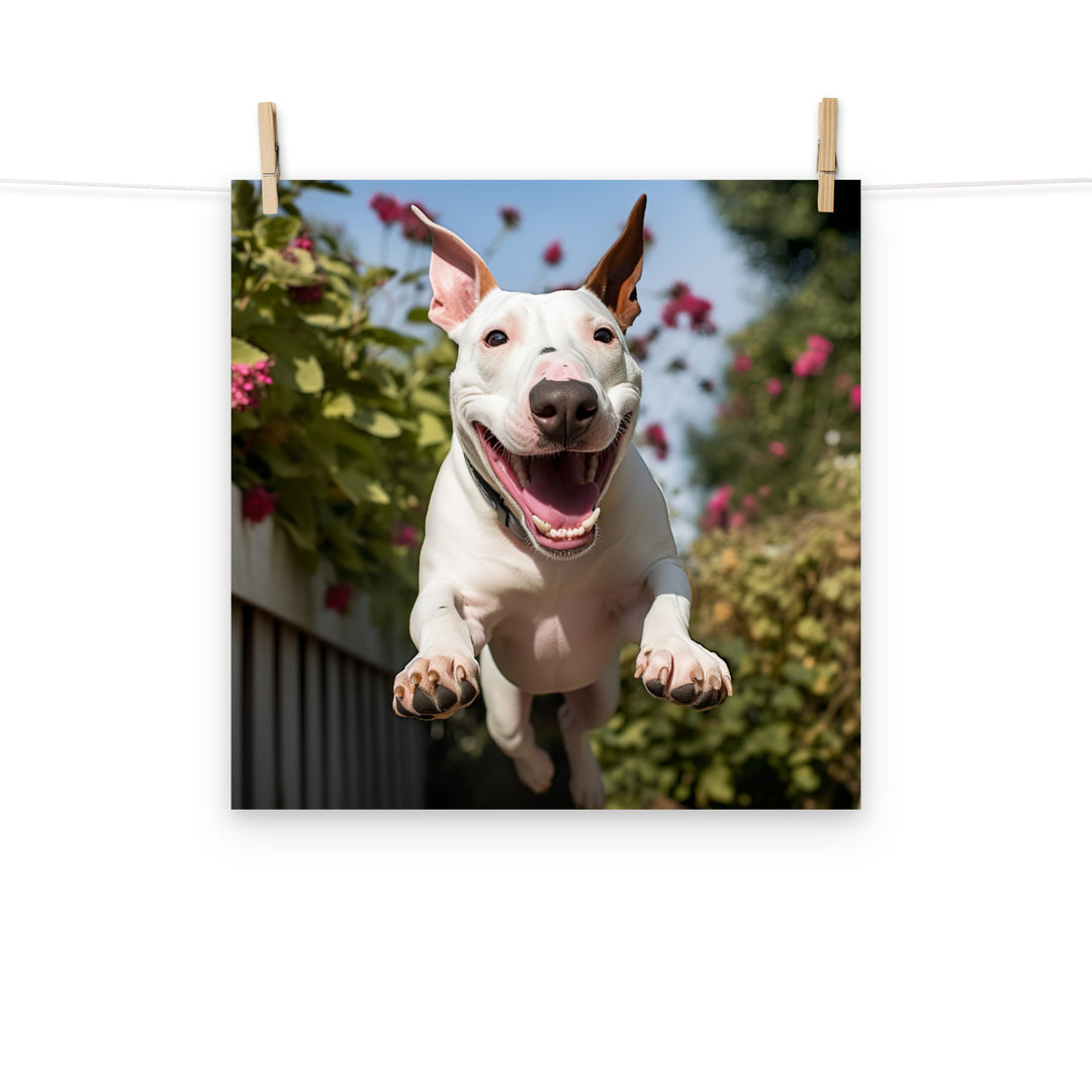 Bull Terrier Photo paper poster - PosterfyAI.com