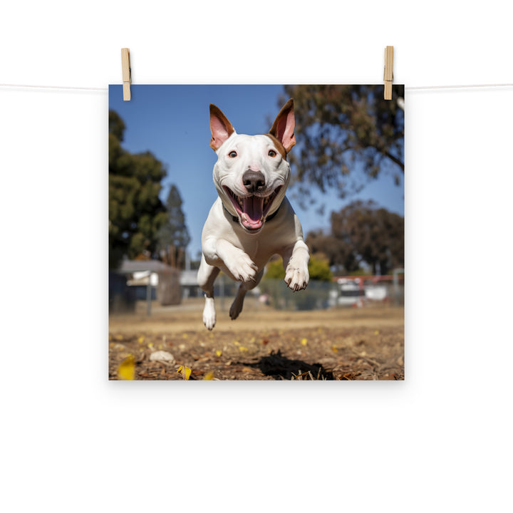 Bull Terrier Photo paper poster - PosterfyAI.com