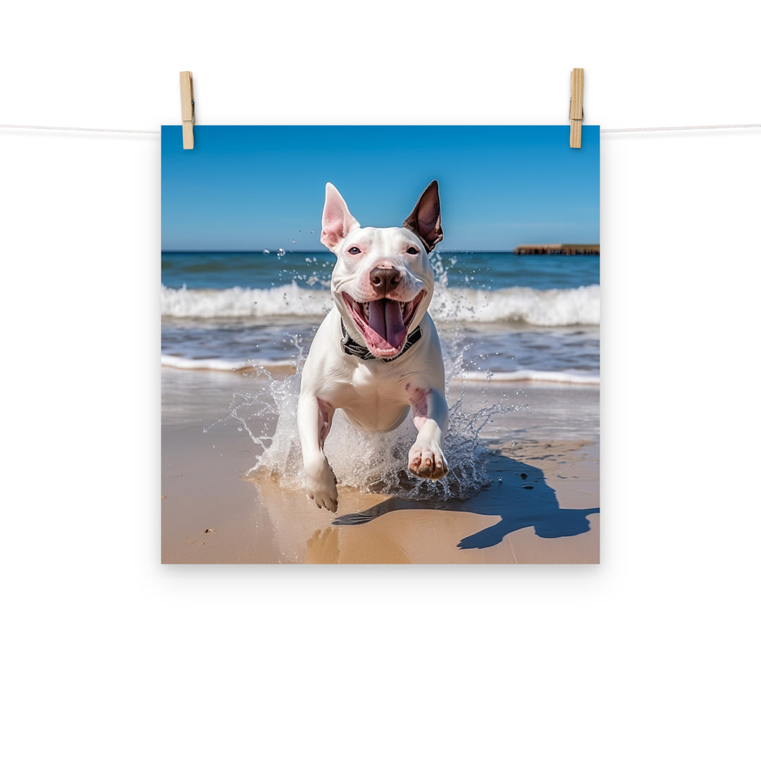 Bull Terrier Photo paper poster - PosterfyAI.com