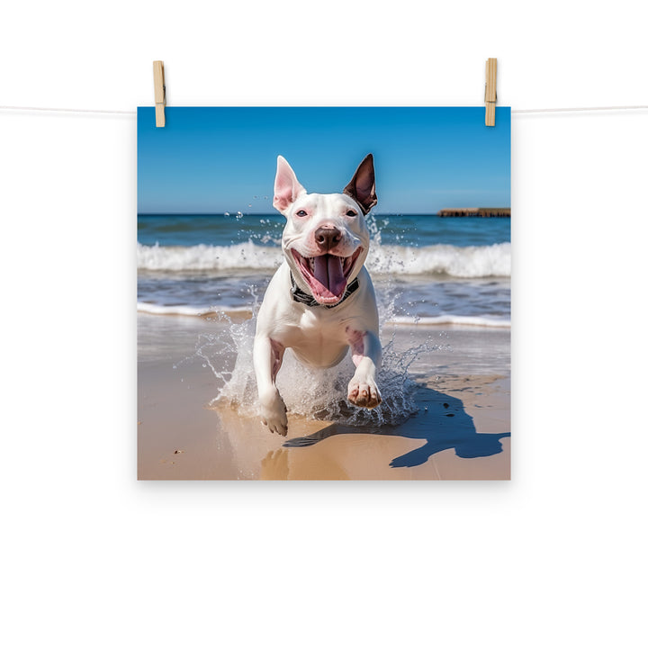Bull Terrier Photo paper poster - PosterfyAI.com