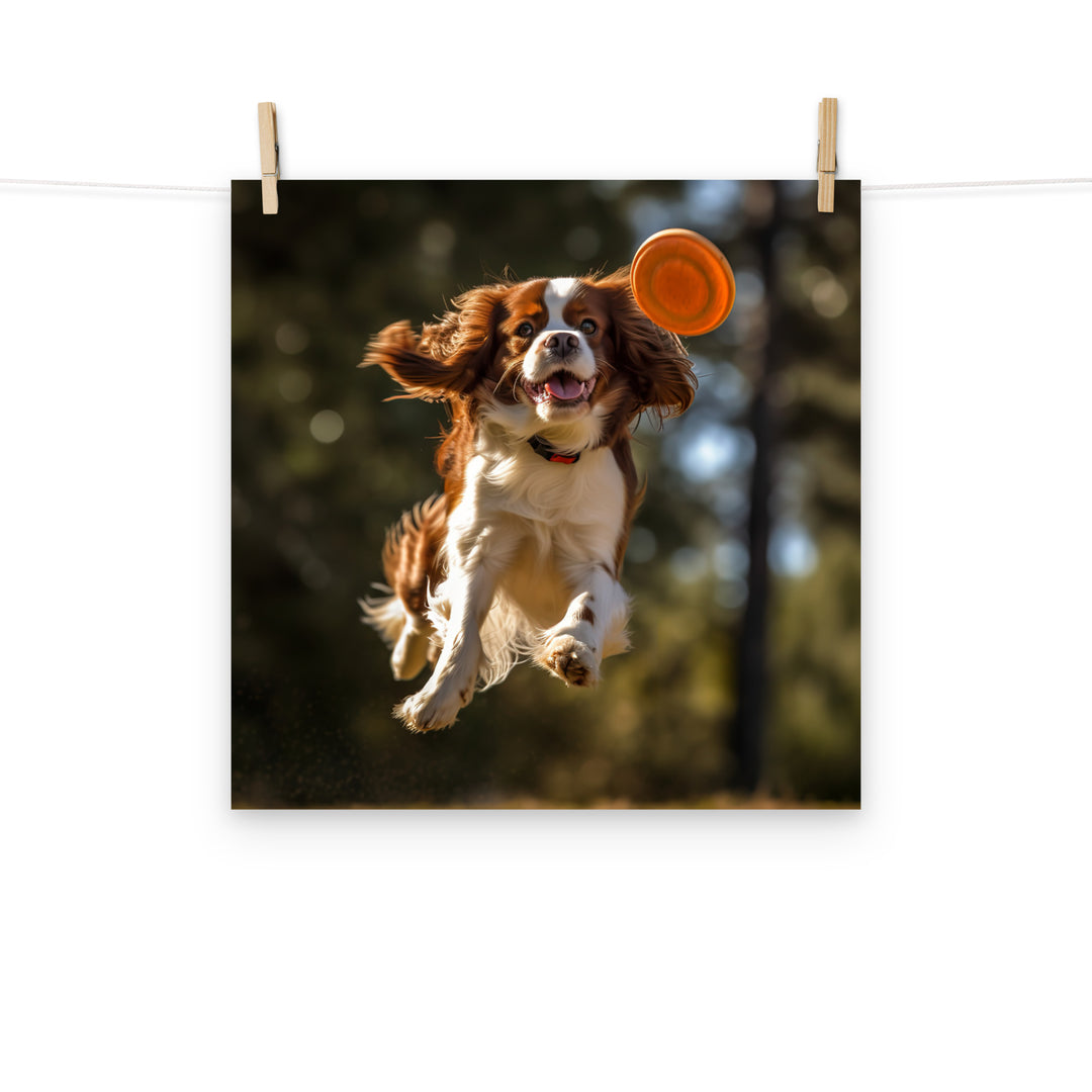Cavalier King Charles Photo paper poster - PosterfyAI.com