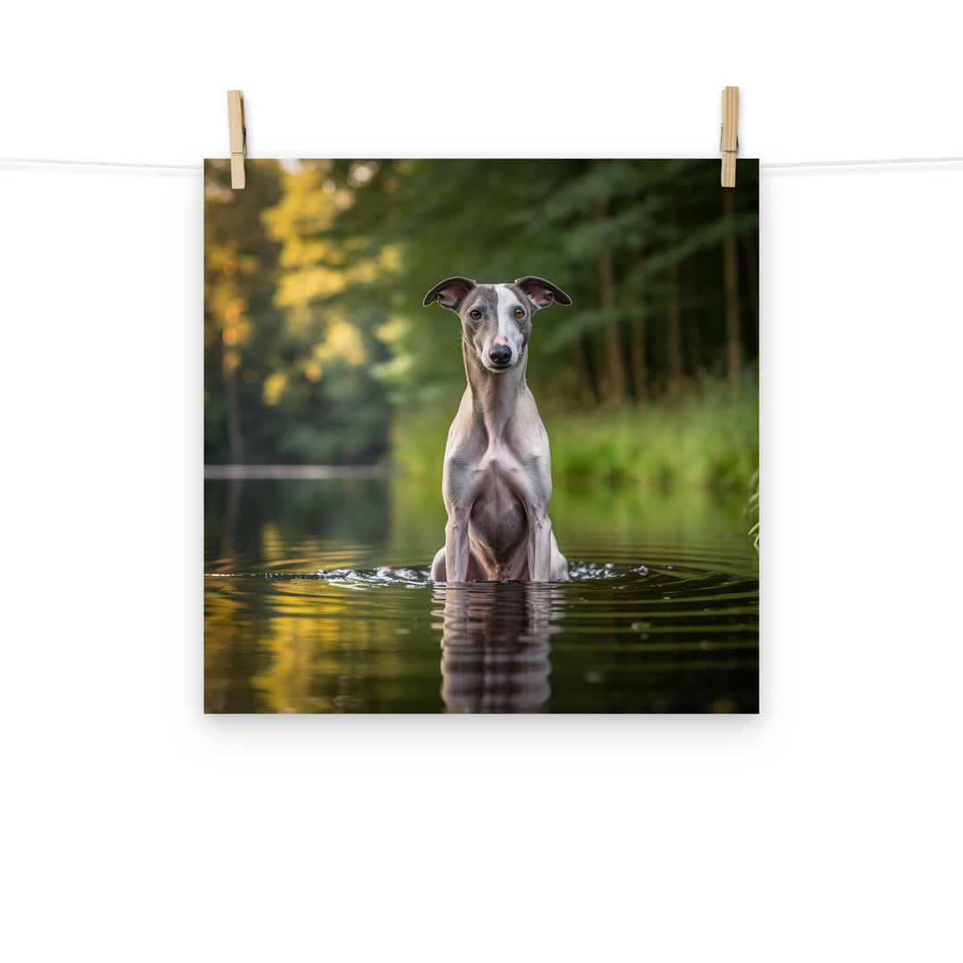Whippet Photo paper poster - PosterfyAI.com