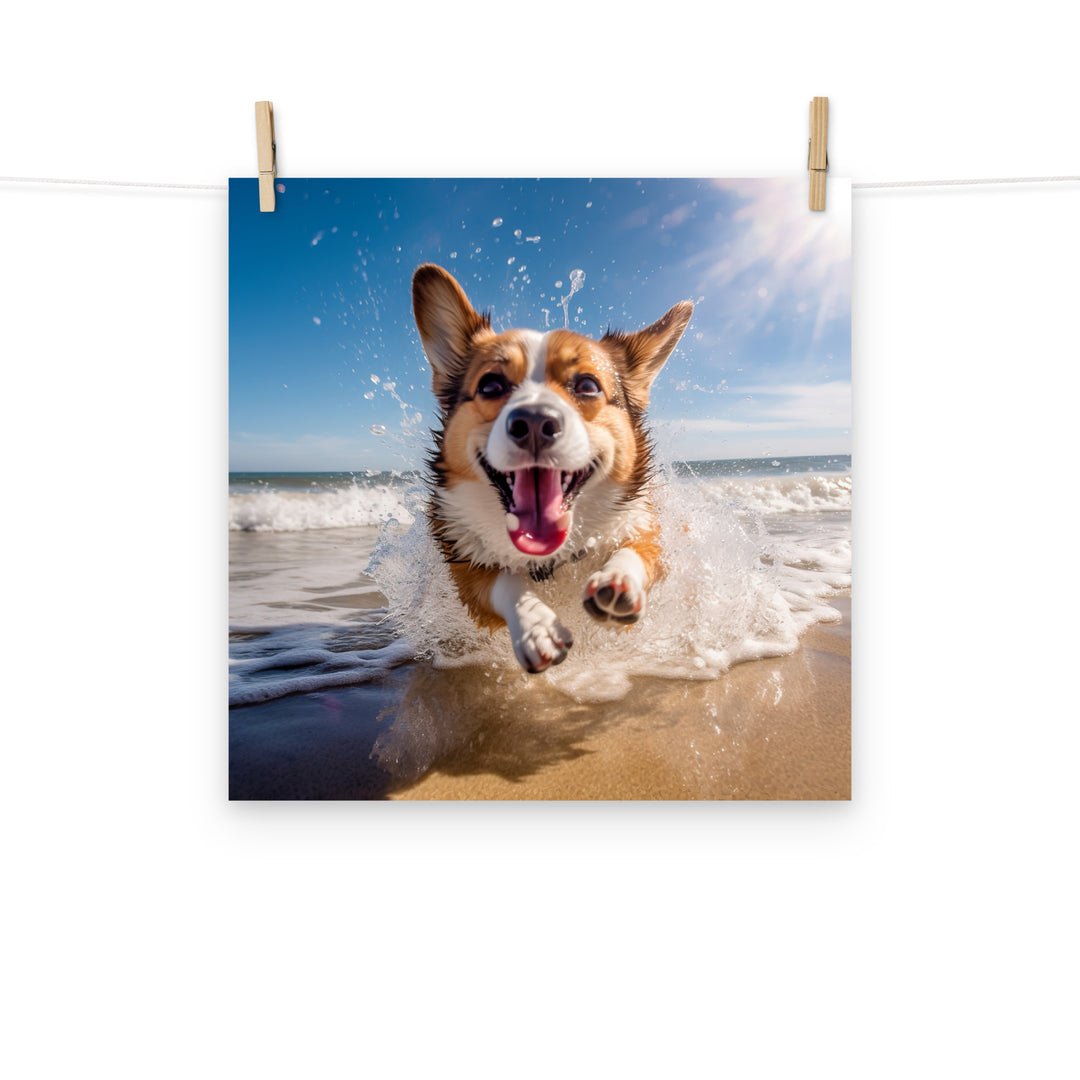 Welsh Corgi Photo paper poster - PosterfyAI.com