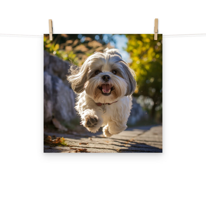 Lhasa Apso Photo paper poster - PosterfyAI.com