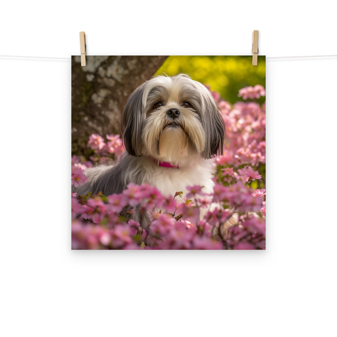 Lhasa Apso Photo paper poster - PosterfyAI.com