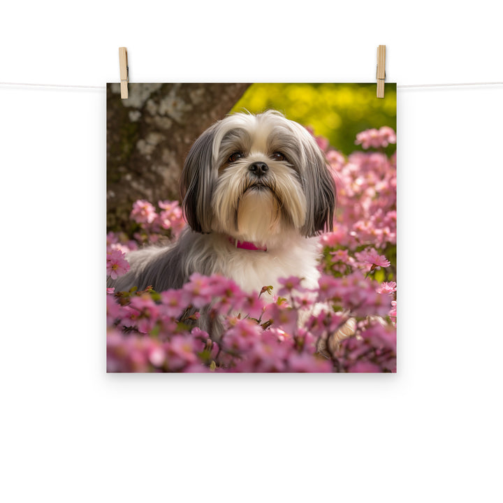 Lhasa Apso Photo paper poster - PosterfyAI.com