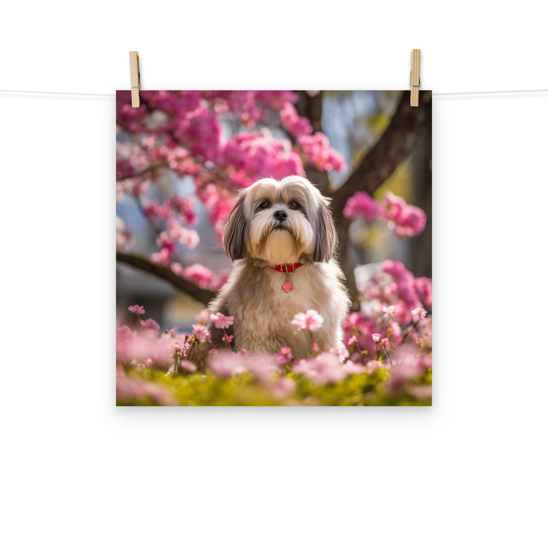 Lhasa Apso Photo paper poster - PosterfyAI.com