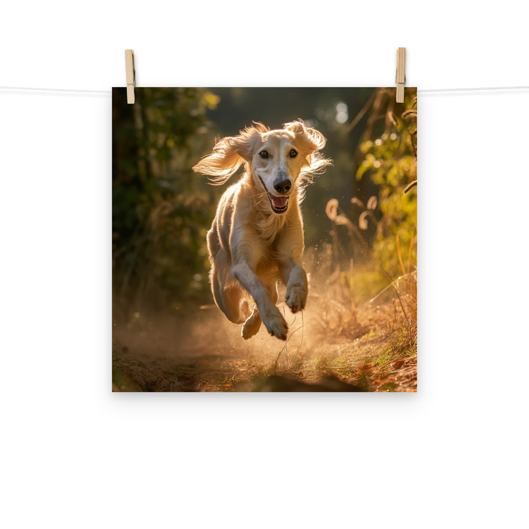Saluki Photo paper poster - PosterfyAI.com