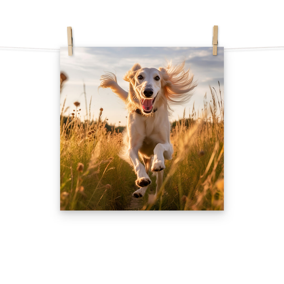 Saluki Photo paper poster - PosterfyAI.com