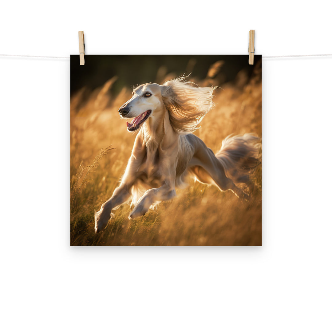 Saluki Photo paper poster - PosterfyAI.com