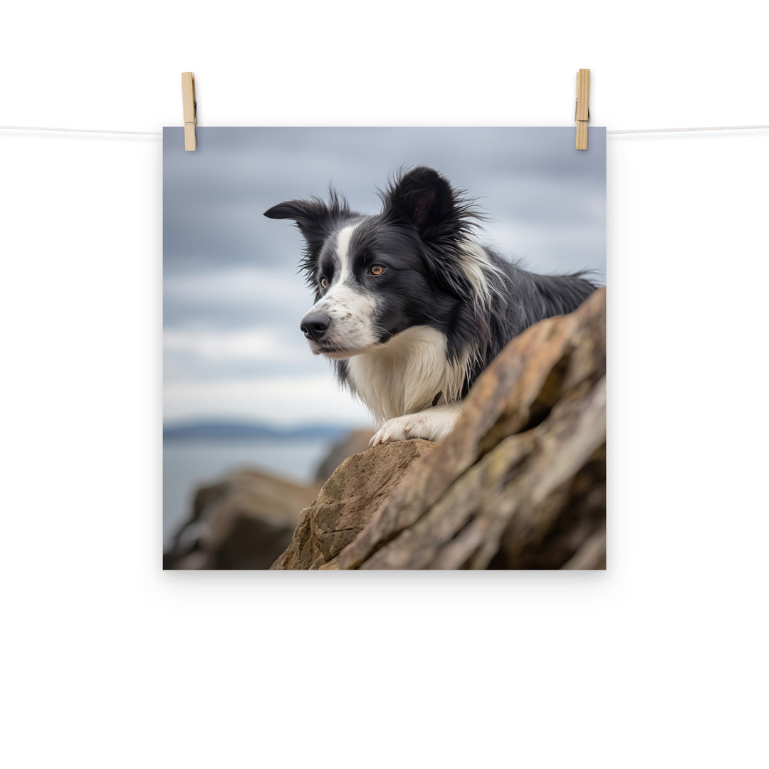 Border Collie Photo paper poster - PosterfyAI.com