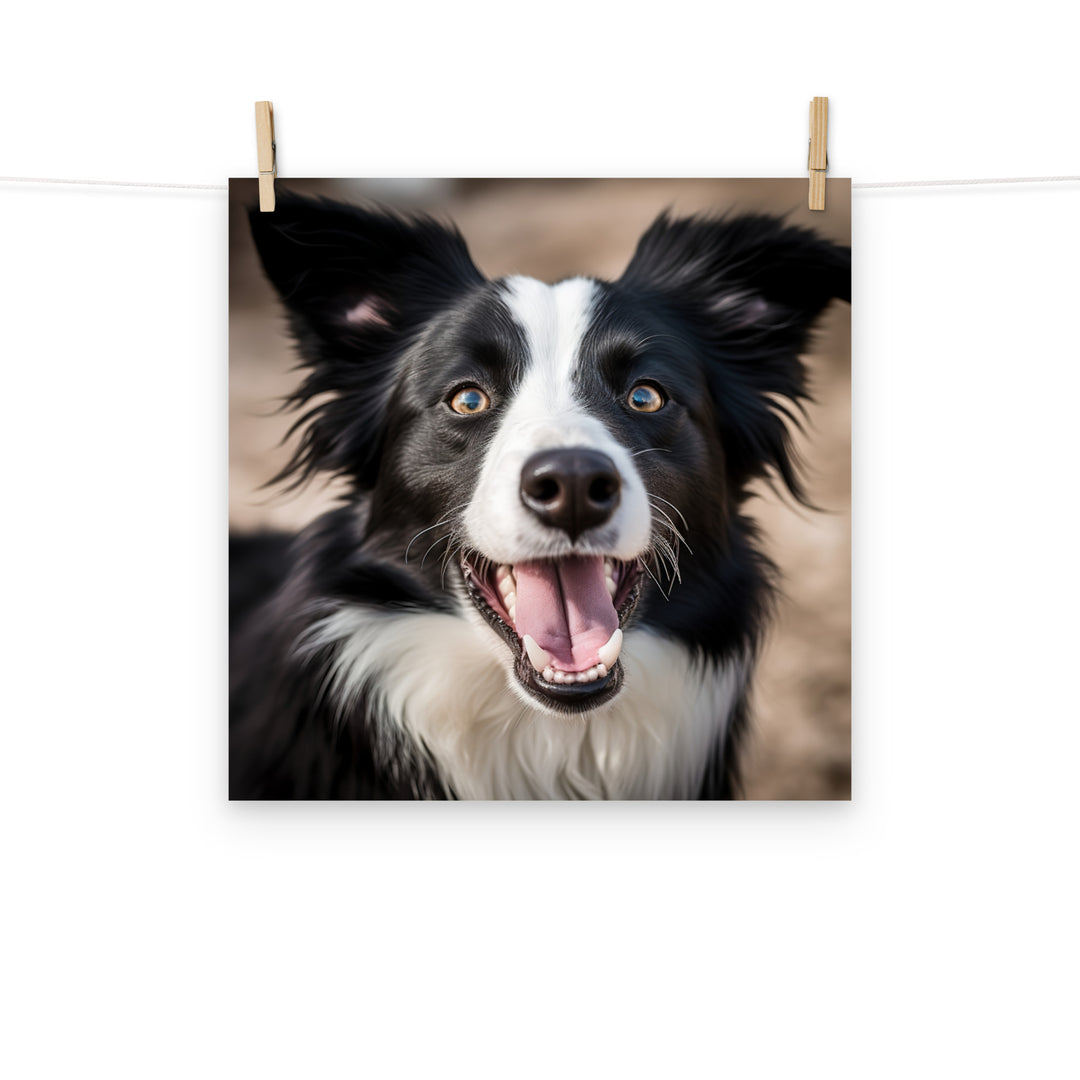 Border Collie Photo paper poster - PosterfyAI.com