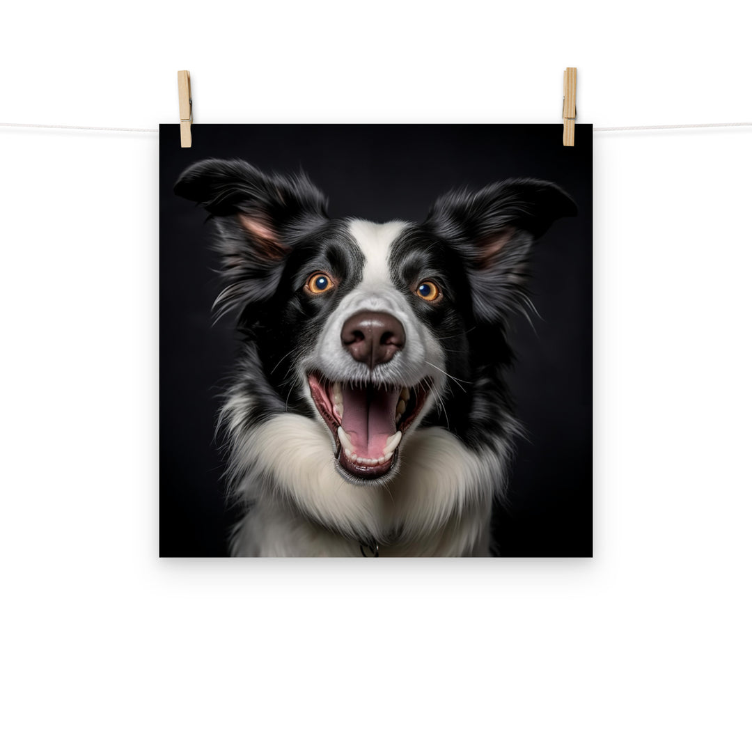 Border Collie Photo paper poster - PosterfyAI.com